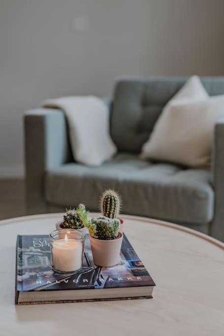 In Centre Appartement *